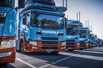 Bild von Unternehmen MOSOLF SE & Co. KG