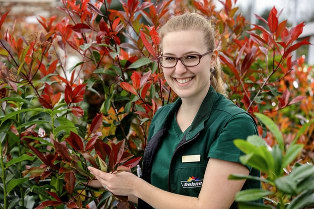 Dehner Gartencenter Gmbh Co Kg Bewirb Dich Jetzt
