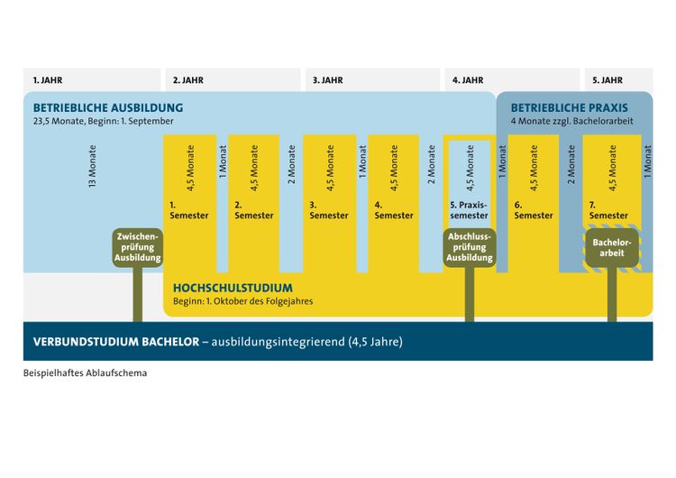Bild Nr. 4 aus der Galerie