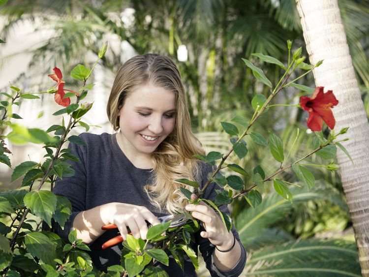 Ausbildung Garten Und Landschaftsbau Dresden Ausbildung Gärtner (m/w/d) in der Fachrichtung Garten- und
