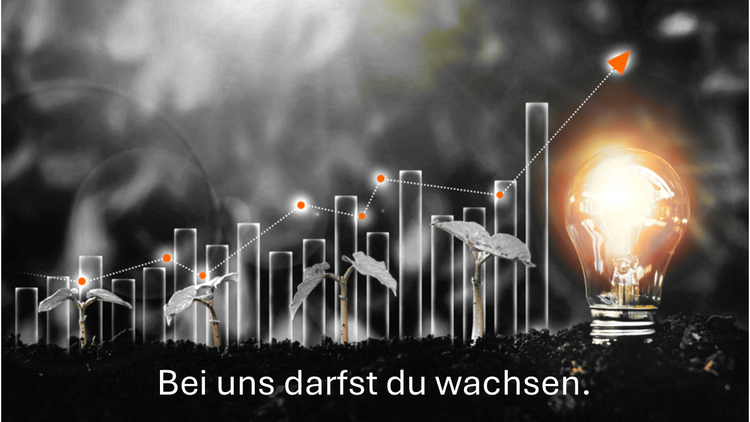 Bild Nr. 4 aus der Galerie