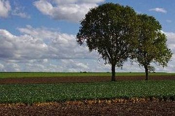 Bild der Stadt Duales Studium Schwedt