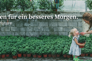 Bild von Unternehmen Minol Messtechnik GmbH & Co.KG