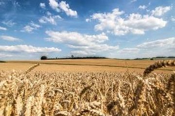 Search header small image ausbildung in dillingen