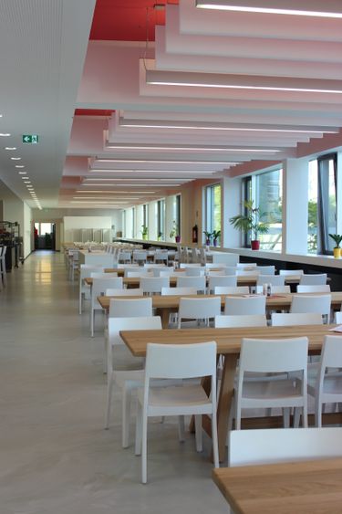 Bild Nr. 5 aus der Galerie