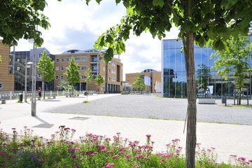 Bild von Unternehmen Universitätsmedizin Greifswald