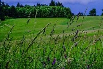 Bild der Stadt Duales Studium Oberursel (Taunus)