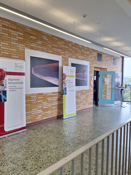 Bild Nr. 4 aus der Galerie