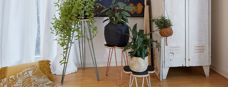 Bild Nr. 19 aus der Galerie