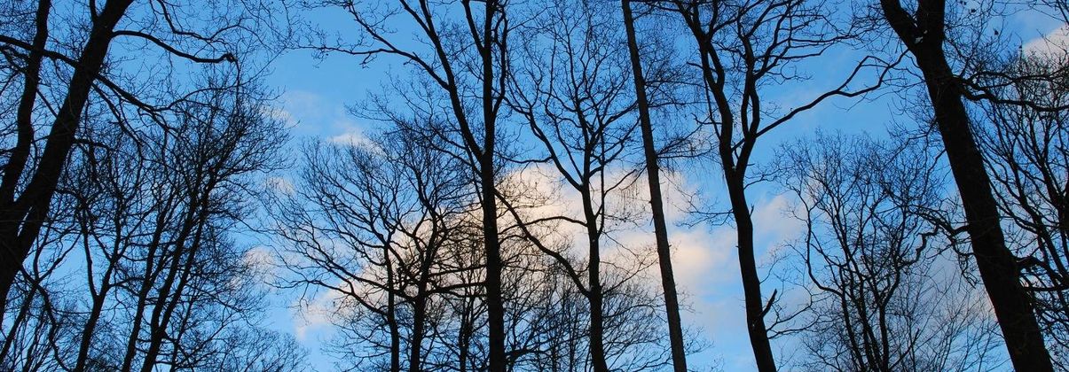 Search header image solingen gro