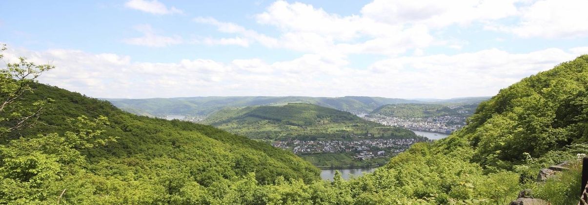 Search header image siegen gro