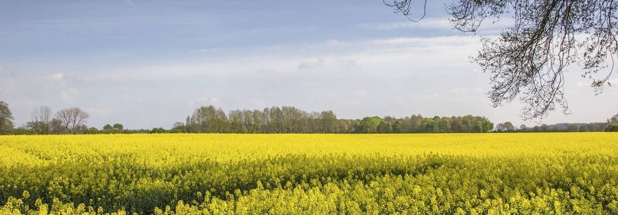 Search header image moers gro