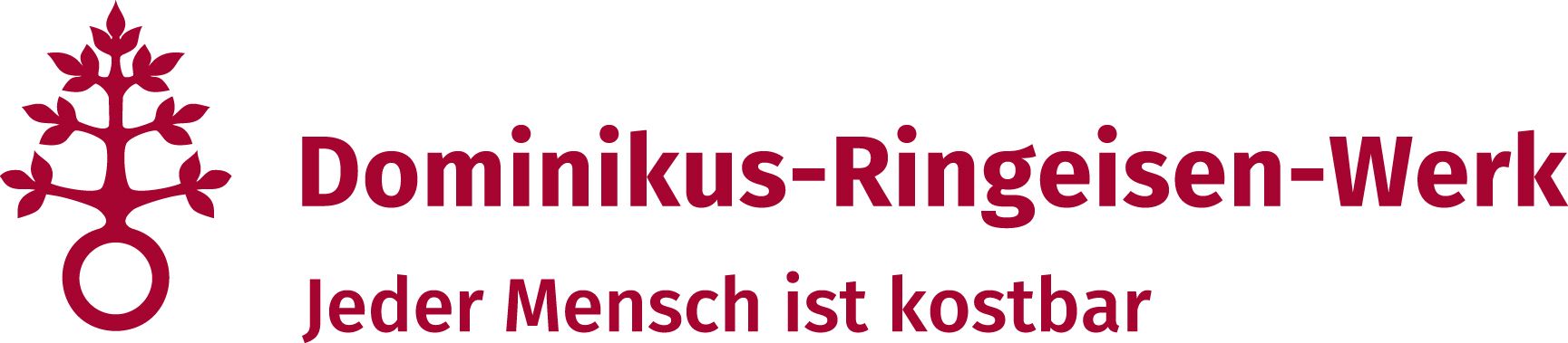 Logo von Dominikus-Ringeisen-Werk