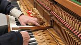 Bild von Klavier- und Cembalobauer/in
