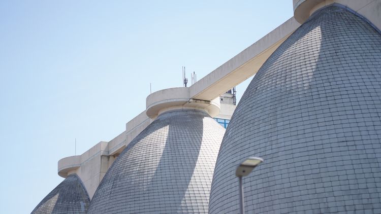 Bild Nr. 23 aus der Galerie