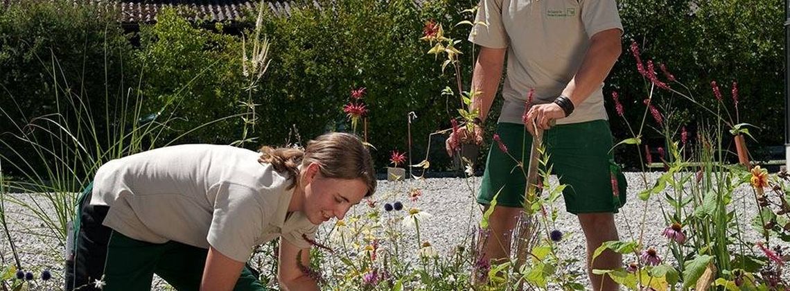 Landschaftsgartner Gehalt Und Verdienst