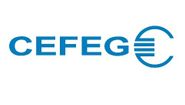 Logo CEFEG Federn- und Verbindungstechnik GmbH