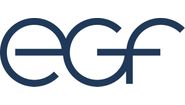 Logo von egf - Eduard G. Fidel GmbH