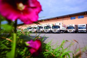 Bild von Unternehmen Terra Naturkost Handels KG