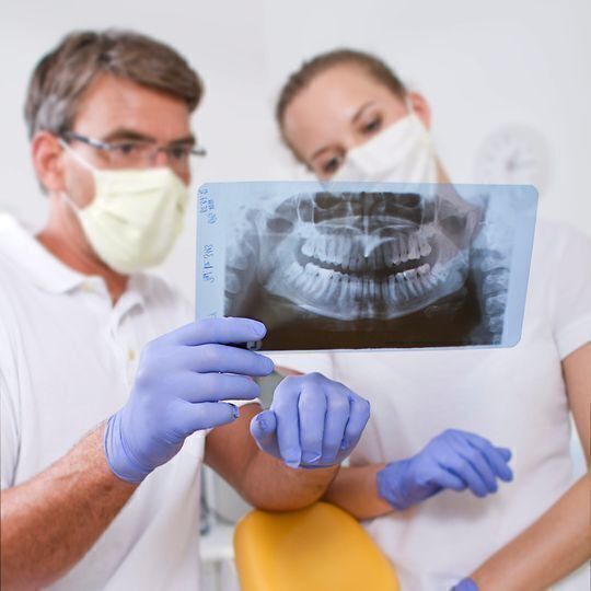 Bild aus der Galerie