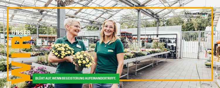Bild Nr. 4 aus der Galerie