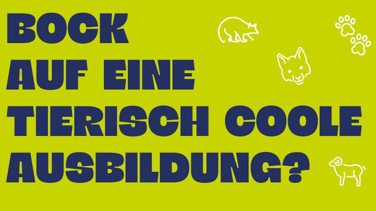 Bild aus der Galerie