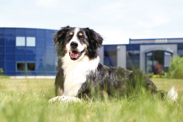 Bild von Unternehmen TRIXIE Heimtierbedarf GmbH & Co. KG