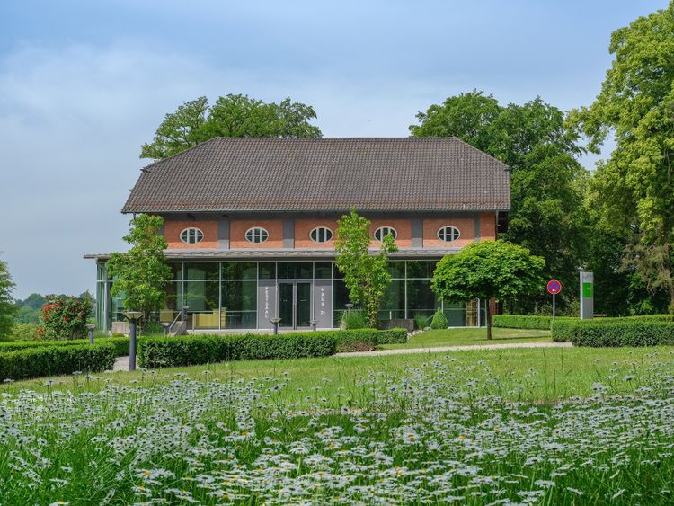 Bild Nr. 4 aus der Galerie