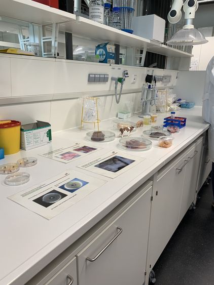Bild Nr. 2 aus der Galerie