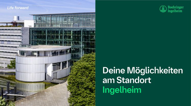 Bild Nr. 9 aus der Galerie