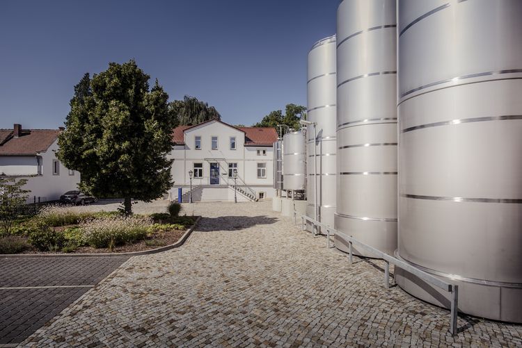 Bild aus der Galerie