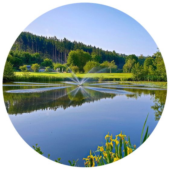 Bild Nr. 14 aus der Galerie