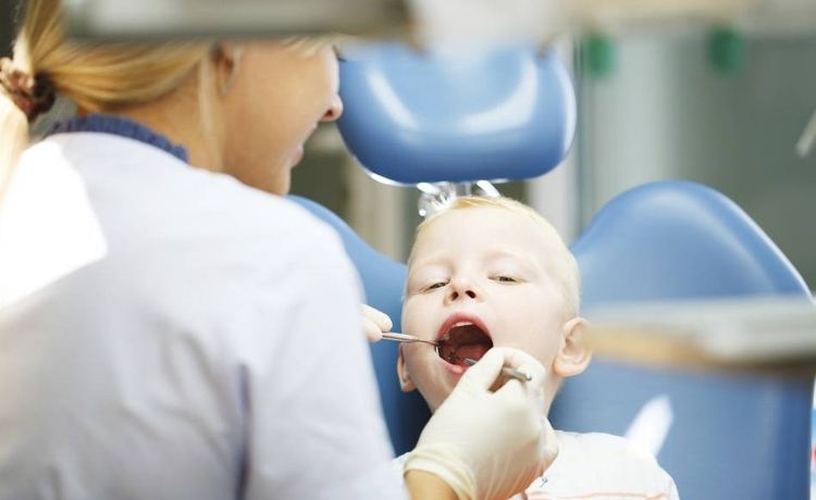 Profession gallery duales studium dentalhygiene und pr ventionsmanagement 4