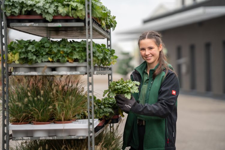 48+ Ausbildung Gärtner Kempten, Im ausbildungsmarkt von
