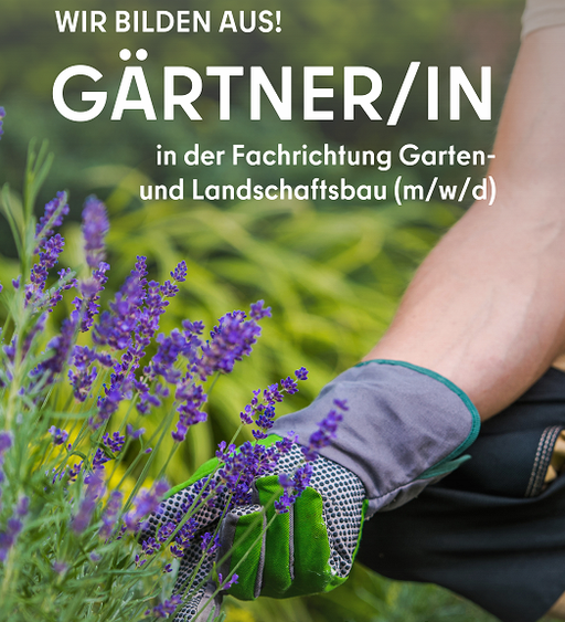 Bild Nr. 1 aus der Galerie