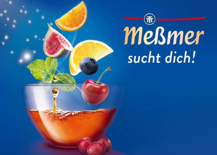 Bild Nr. 1 aus der Galerie