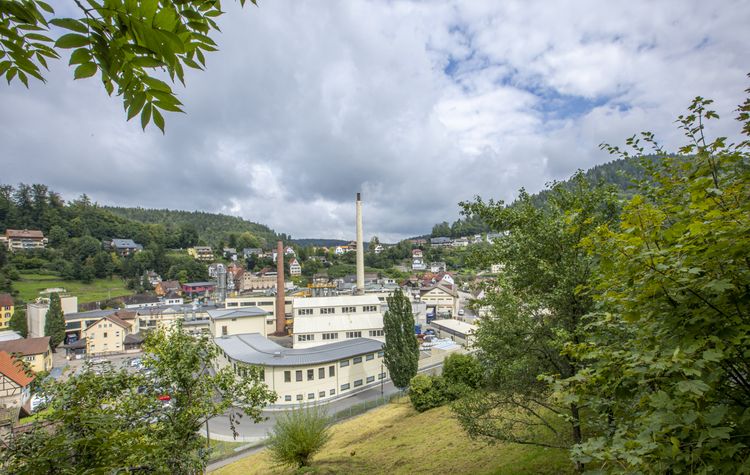 Bild Nr. 5 aus der Galerie