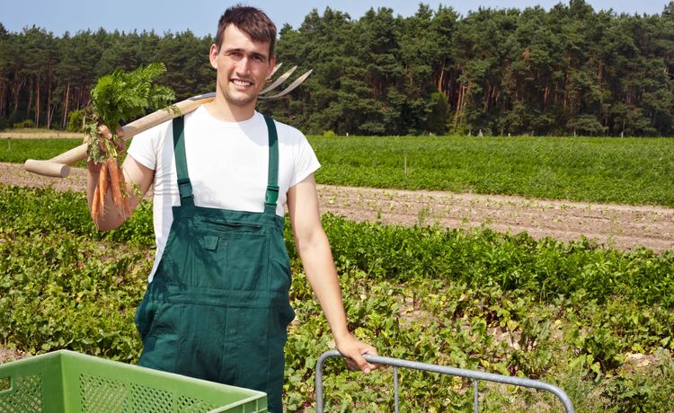 Ausbildung zum Landwirt - Infos und freie Plätze