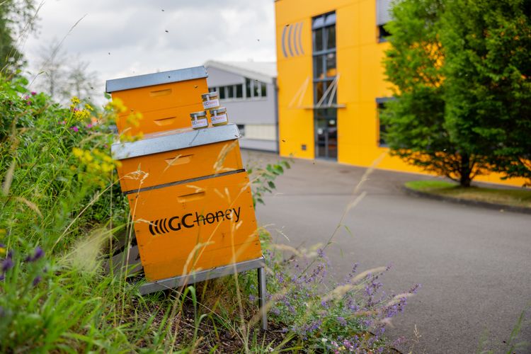 Bild Nr. 1 aus der Galerie