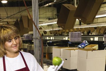 Sugar image ausbildung fachkraft fruchtsafttechnik2 neu