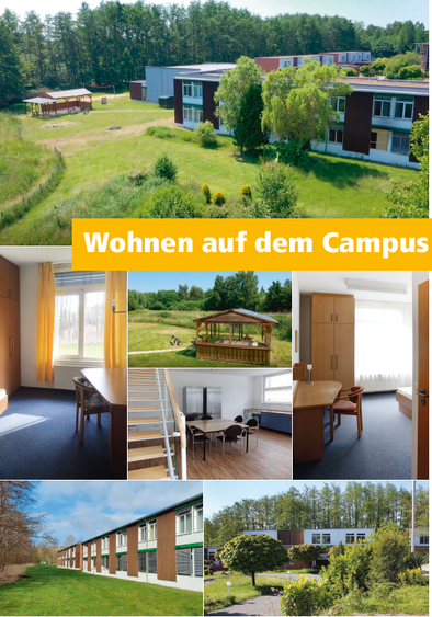 Bild Nr. 5 aus der Galerie