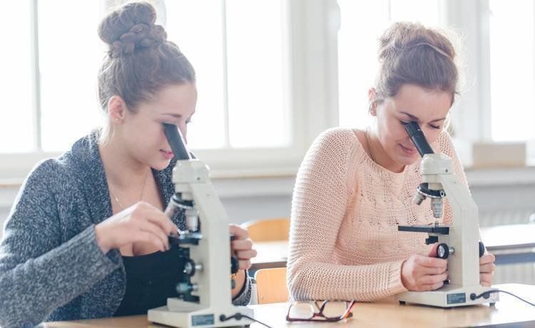 Pharmazeutisch Technische Assistentin Pta Werden Ausbildung De