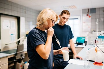 Bild von Unternehmen Immergut GmbH & Co. KG
