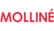 Logo von WDV Molliné GmbH