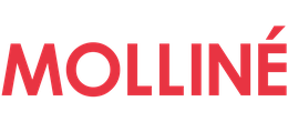 Logo WDV Molliné GmbH