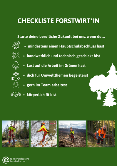 Bild Nr. 4 aus der Galerie