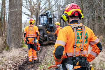 Bild von Unternehmen rodenberg waldkontor ag