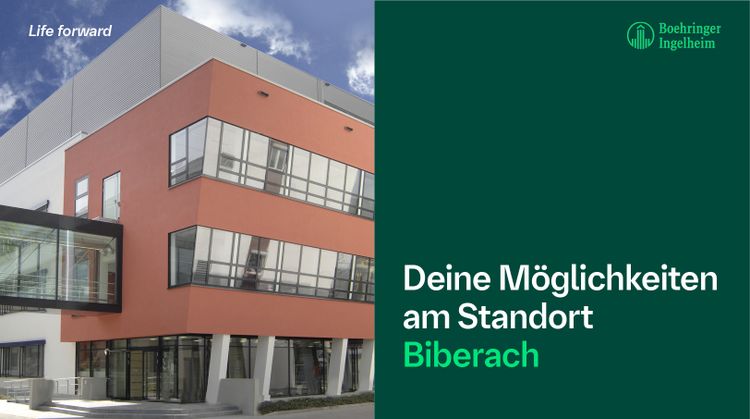Bild Nr. 3 aus der Galerie