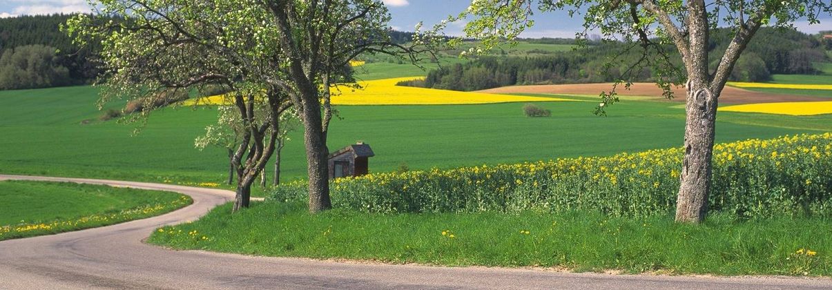 Search header image pforzheim gro