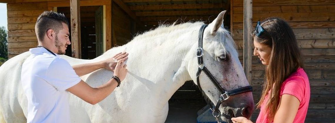 Tierpfleger Verdienst Tierpfleger Verdienst